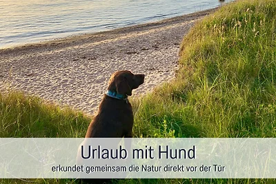 Fewo Wind – Sauna, Kamin & Hund