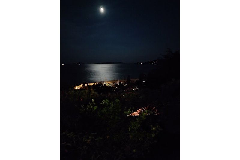 Clair de Lune depuis le jardin  vers la baie du Lavandou