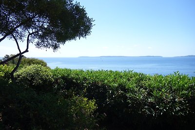 Le PONANT-les hauts du Port