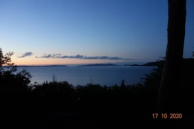 Le PONANT-les hauts du Port