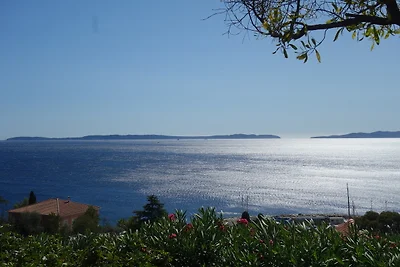 Le PONANT-les hauts du Port