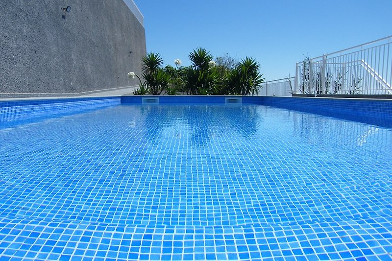 Pool und Tropical Garten