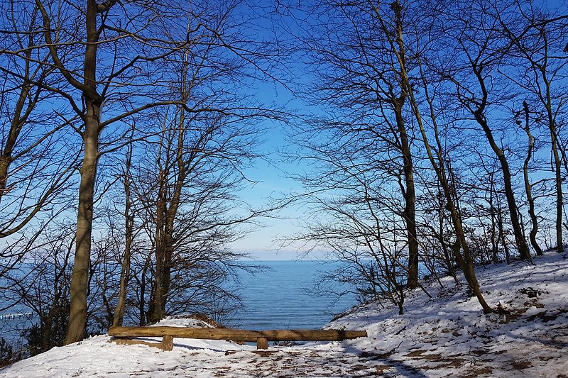 Inverno sul sentiero panoramico di Sellin.