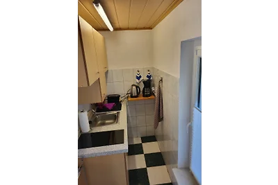 Casa vacanze allo zoo