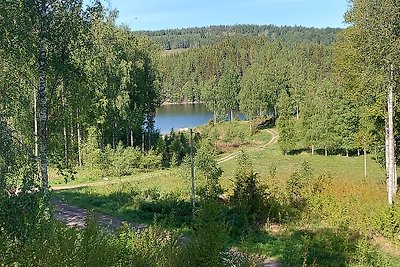 Dalsland- Bengtsfors -  Östra Silen