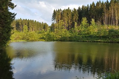 Happy Harz - ray of hope!