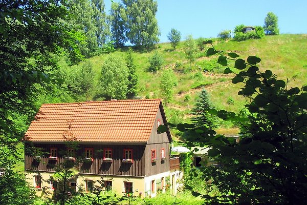 Ferienwohnung Reinhardtsdorf