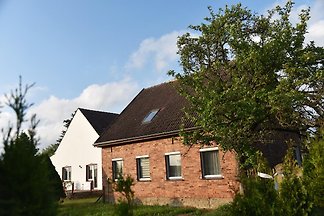 Ferienhaus Biene