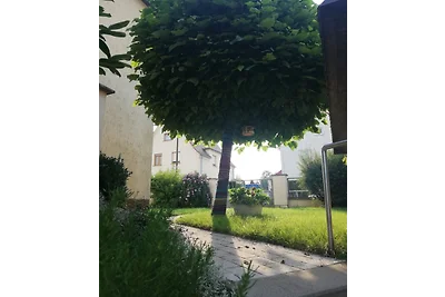 Schlafen im Grünen