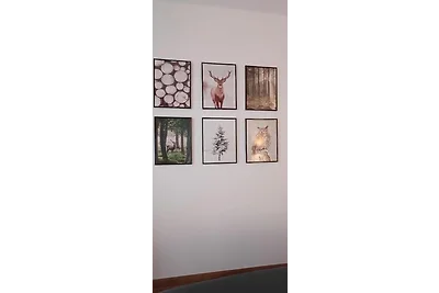 Droomhuis Fichtelzauber****