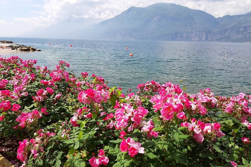 lago di Garda