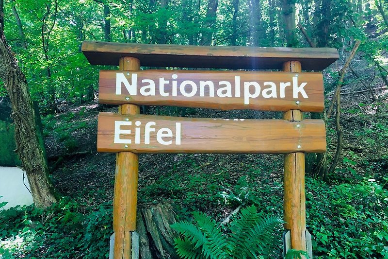 Nationalpark Eifel Heimbach. Wildnishaus