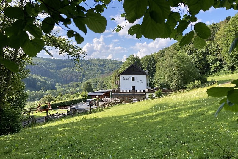 Alleinlage Hirschrott mit Weitblick Nationalpark Eifel I WALDSTUBE