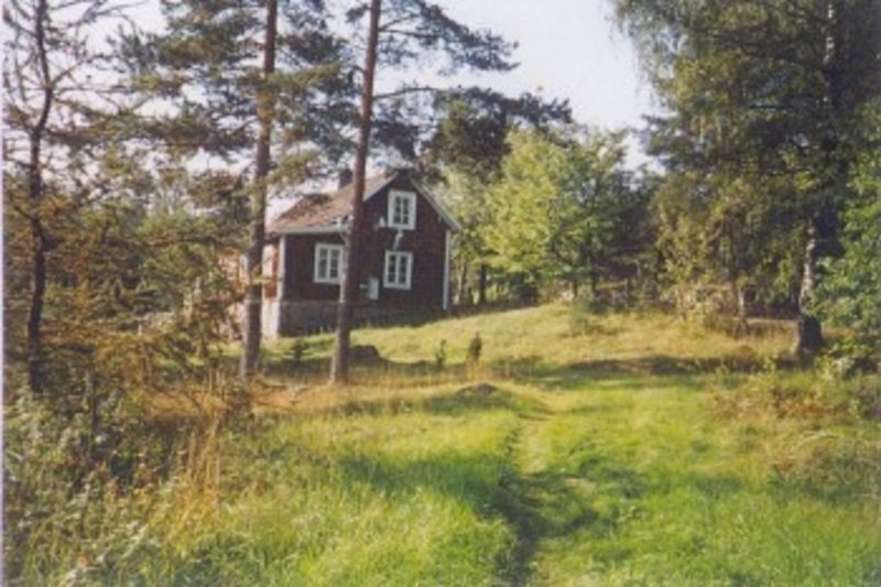Blick von der Scheune über das Grundstück zum Haus