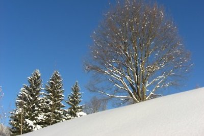 Gemütlich u. günstig