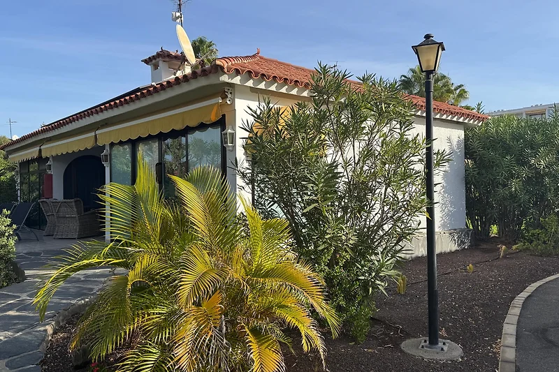 Hacienda mit Palmen, schattigem Außenbereich und einladender Einfahrt.