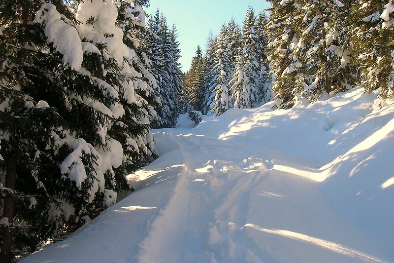  Im Winter eine  Wanderung durch die schöne verschneite Landschaft