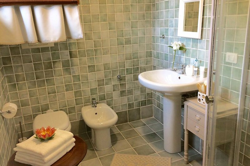 Un bagno viola con rubinetto, lavandino e piante.