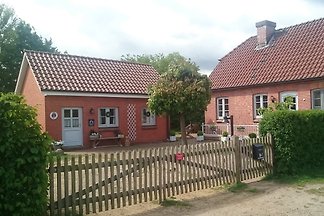 Kranichnest