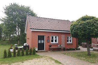 Kranichnest