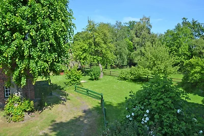 Schwalbennest