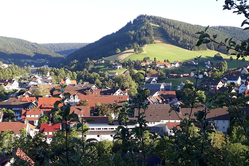 Aussicht vom Haus über Baiersbronn und Schwarzwald