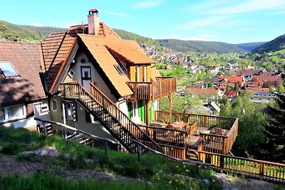FeWo/Haus & Grillhütte, Schwarzwald
