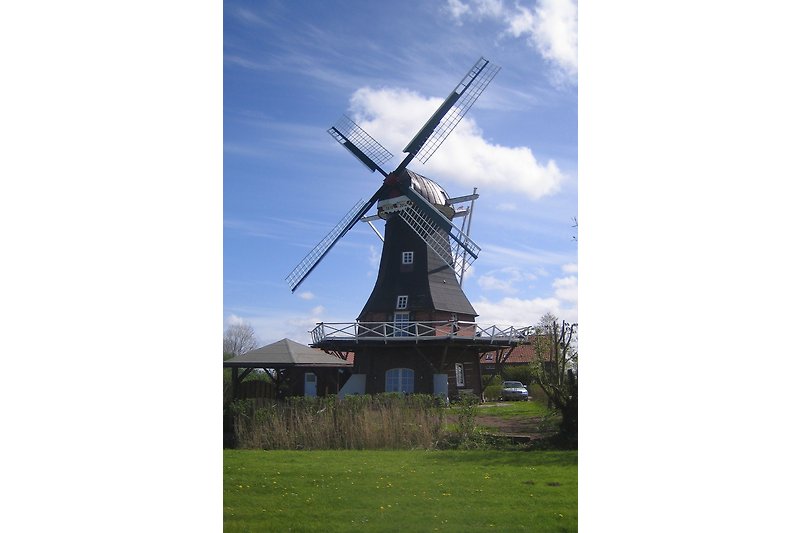 Windmühle in Westerbur