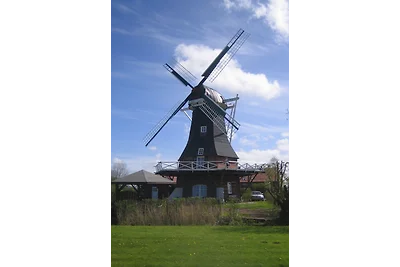 Nichtraucherferienhaus mit Garten