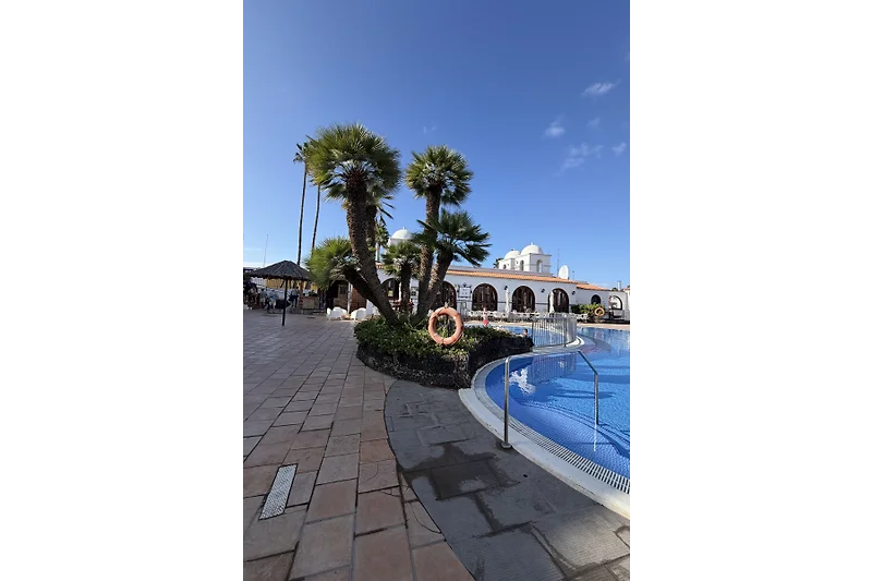 Palmen und Schatten am Pool für entspannte Urlaubstage