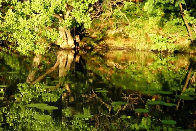 FH am Müritz-Nationalpark