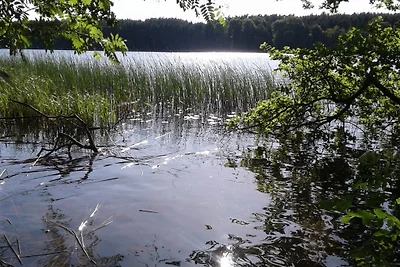 FH am Müritz-Nationalpark