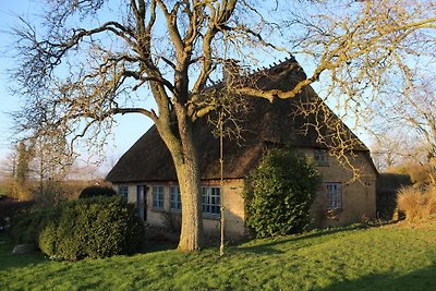Historisches Reetdach Landhaus