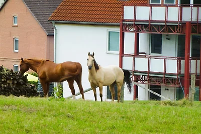 Ferienwohnung MAXIMA 1