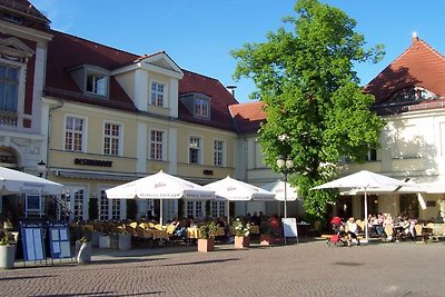 Ferienhaus in Schwielowsee