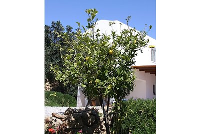 Villa Iremia Agia Galini