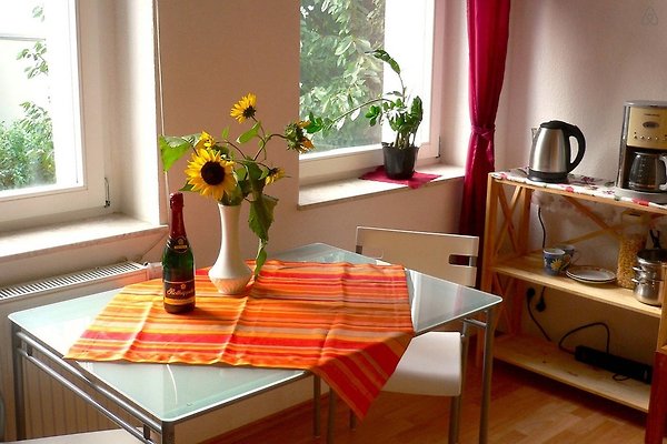 Ferienwohnung Dresden