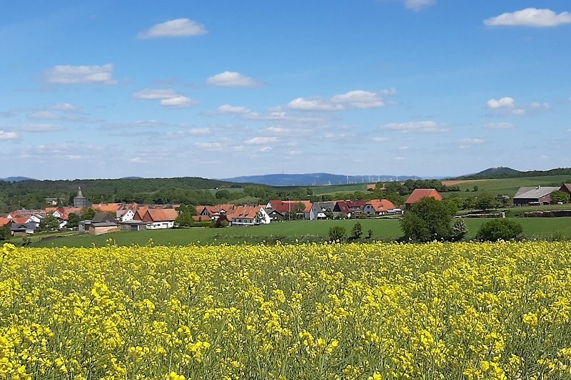 Waldeck-Freienhagen