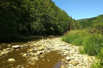 Rimorchio da costruzione Eifel "Wänchen