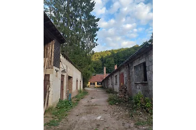 Rimorchio da costruzione Eifel "Wänchen