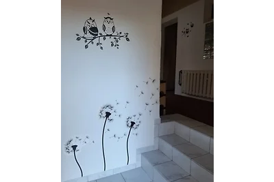 Butterfly Südharz ab 65€  pro Nacht