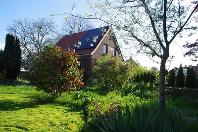 Ferienhaus Mauritiusstrasse