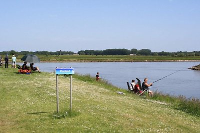 Stellplatz auf der Fischinsel