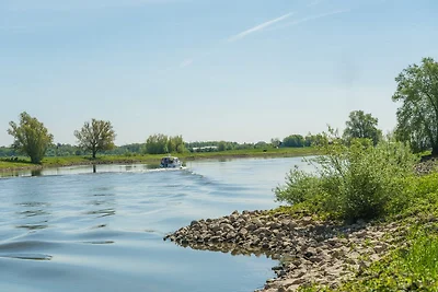 Stellplatz auf der Fischinsel