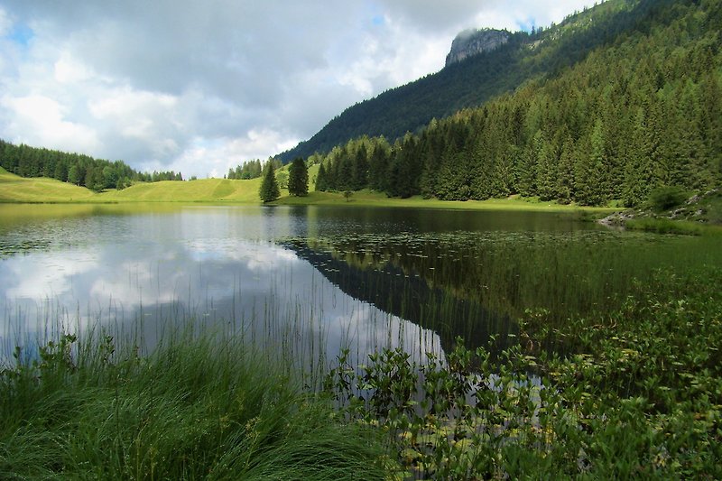 Naturerlebnis Seewaldsee