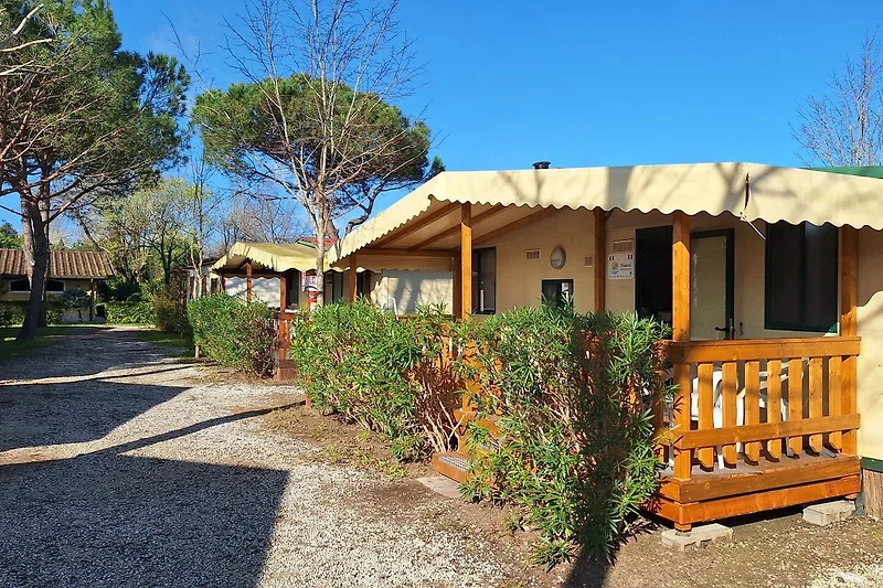 Ein rustikales Holzhaus mit Garten und schattiger Veranda.