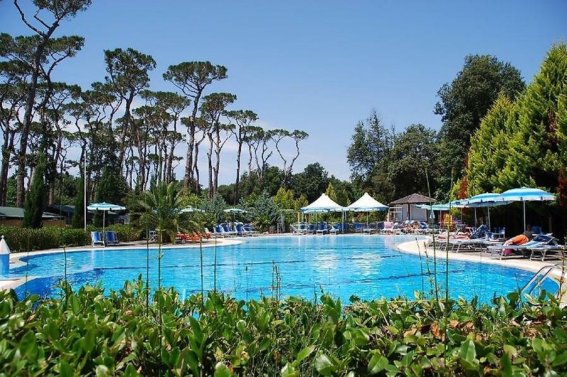 Prachtig zwembad met uitzicht op de azuurblauwe zee en palmbomen.