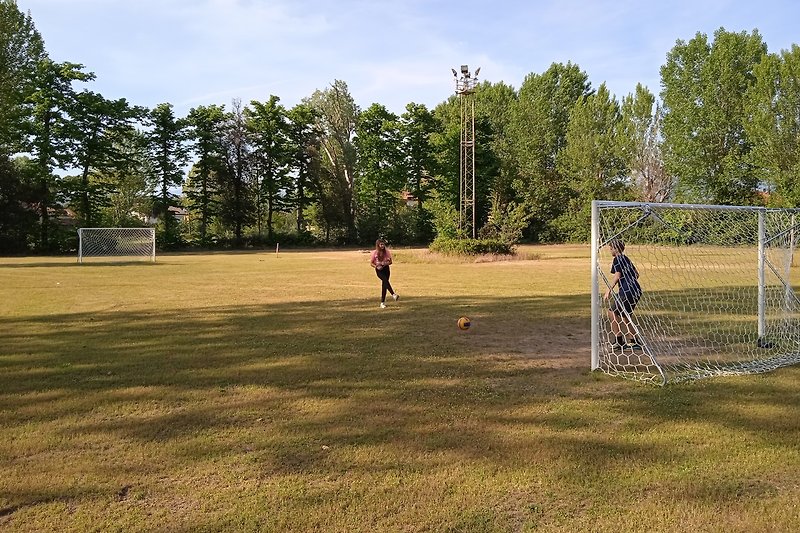 Een sportieve scène met spelers, een bal en een doel op een groen grasveld.