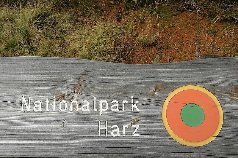 Wandern im Nationalpark Harz
