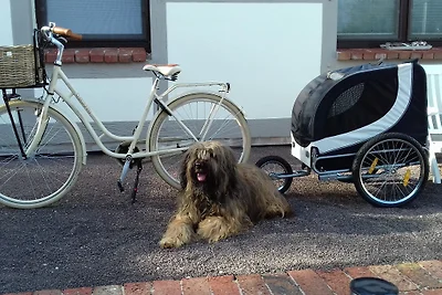 Ferienwohnung- "Leuchtturm"